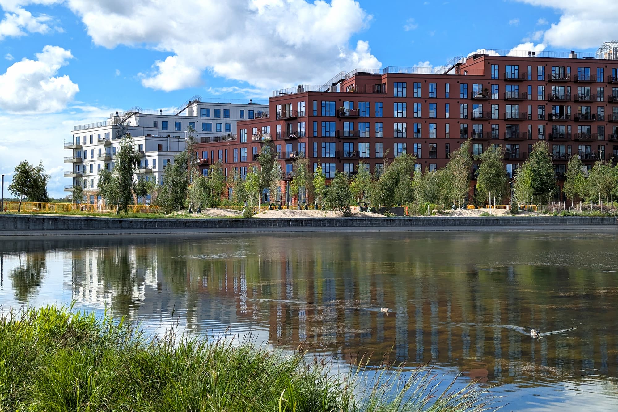 Molepladsen er sidste etape af det grønne område Skovrummet, som nu strækker sig hele vejen fra Asger Jorns Allé og ned til søerne.