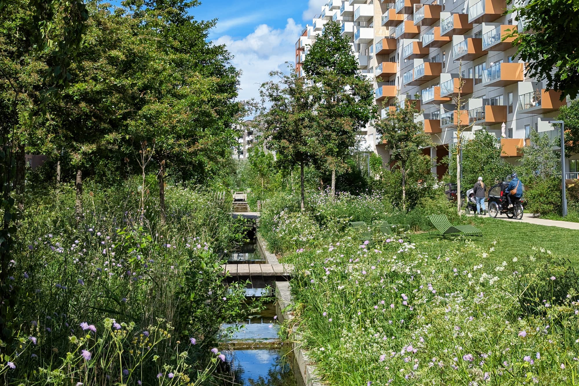 Den første etape af Skovrummet blev etableret i 2018. Sådan ser området ud i dag.