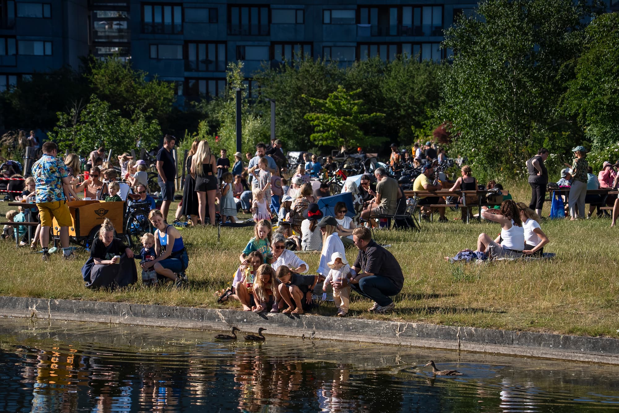 På Grønningen kan man mange steder dyppe fødderne i den Landskabelige Kanal - og blandt andet hilse på ænder og svaner.