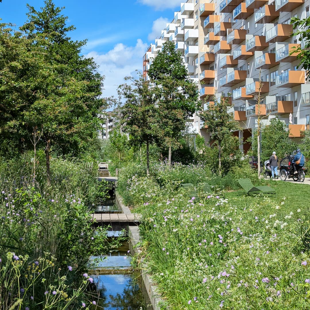 Skovrummet langs Else Alfelts Vej i Ørestad Syd.