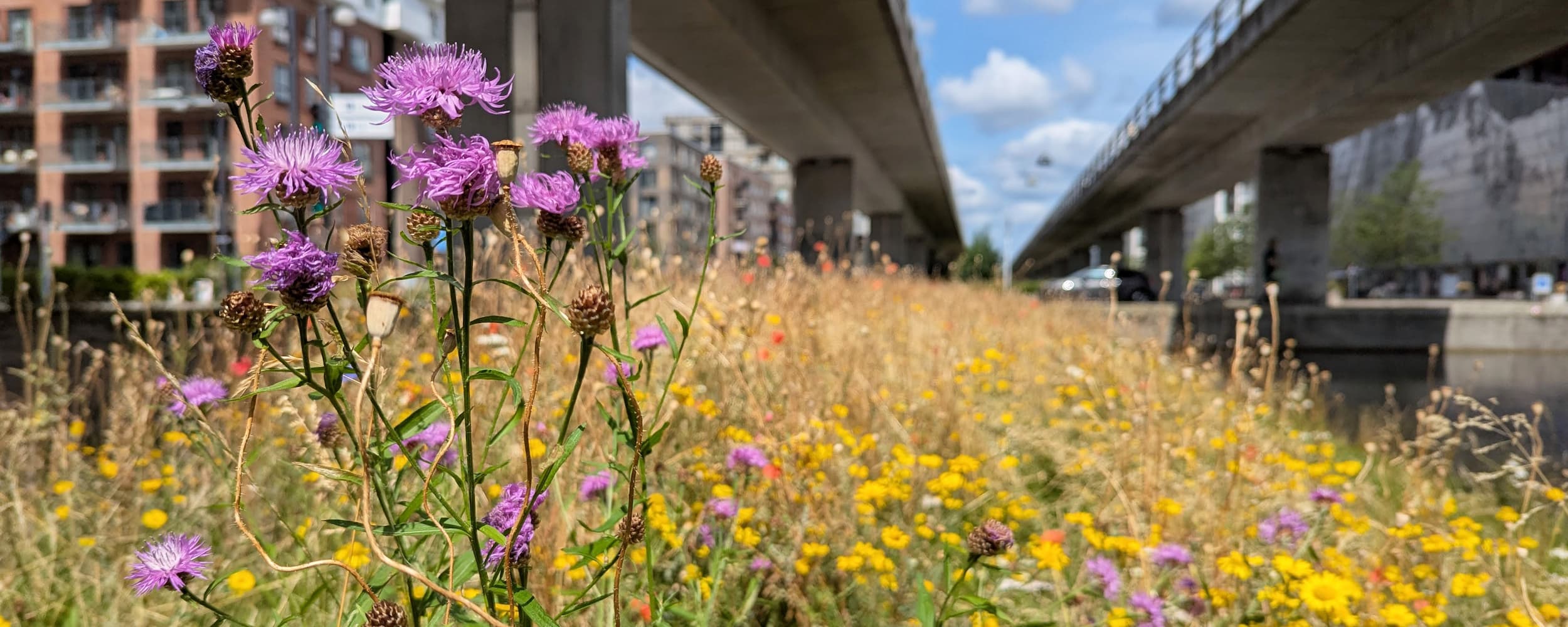 Blomster under metrobanen i Ørestad City.