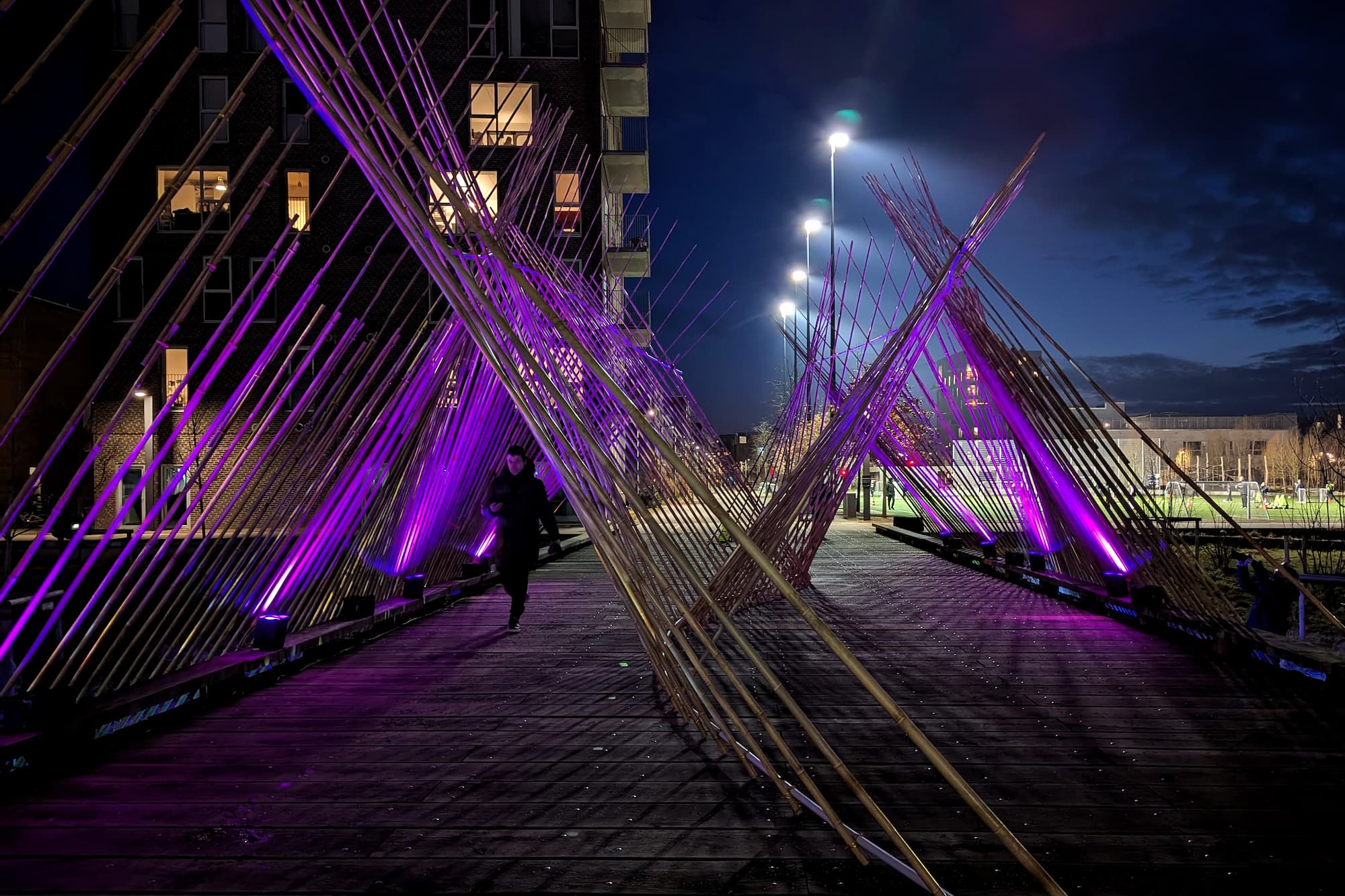 Bamboo Light Construction.