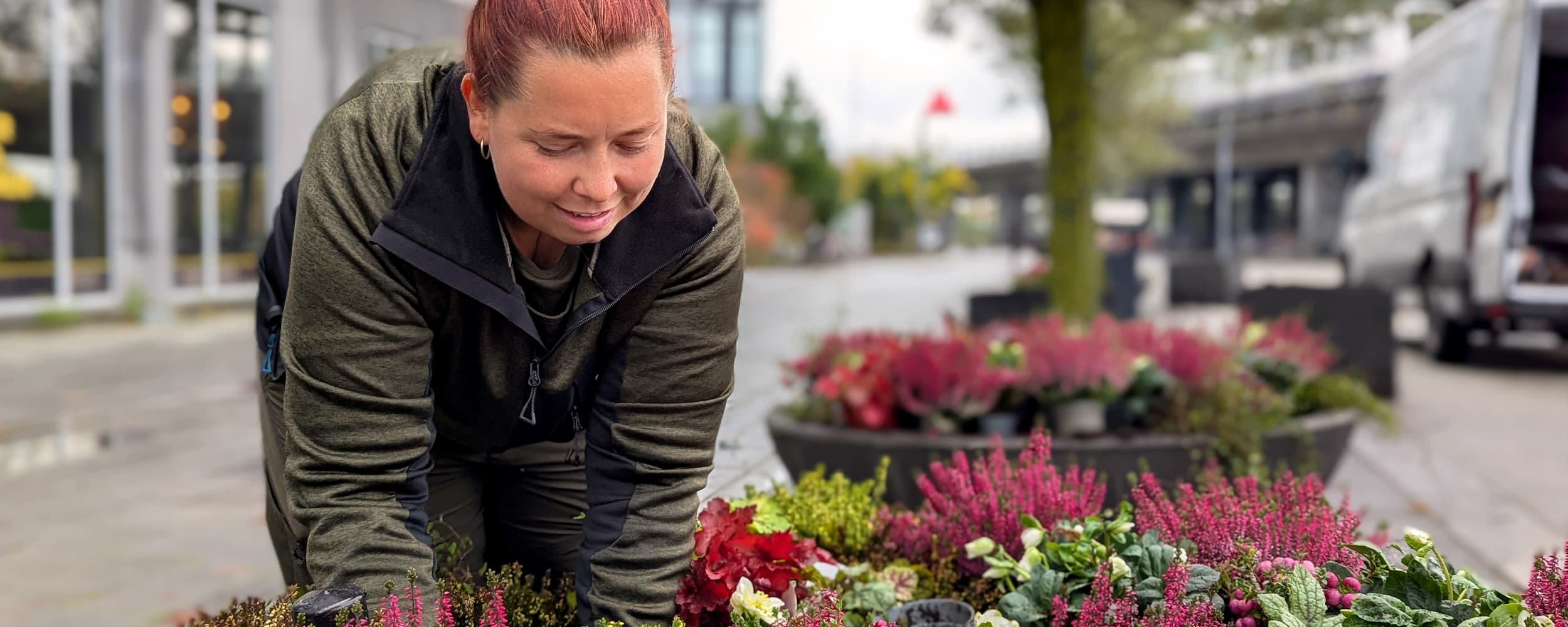 Grundejerforeningerne arbejder løbende med at få flere farver ind i byrummene og ud i gaderne. I Ørestad Nord er nogle nye plantekummer plantet til med stedsegrønne stauder og blomster i burgundy.