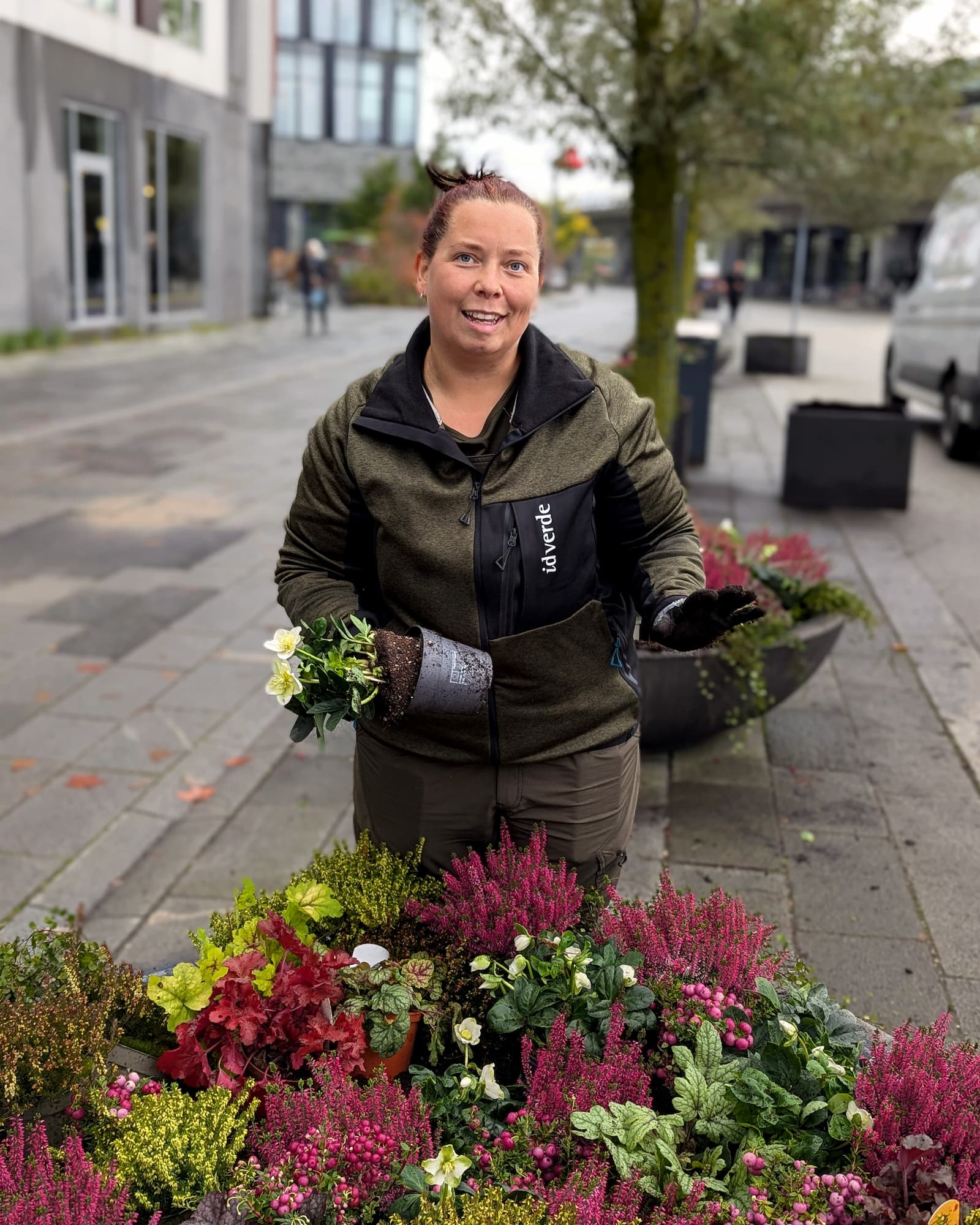 Der bliver plantet stauder i nye plantekummer i Ørestad Nord.